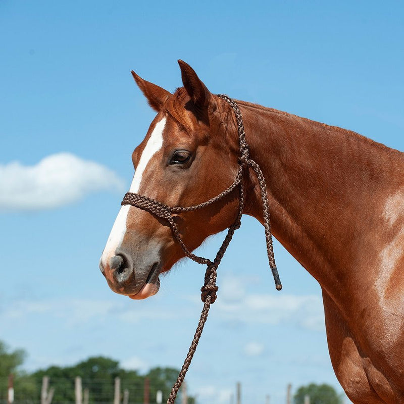 Load image into Gallery viewer, Cashel Flat Braid Halter with Lead
