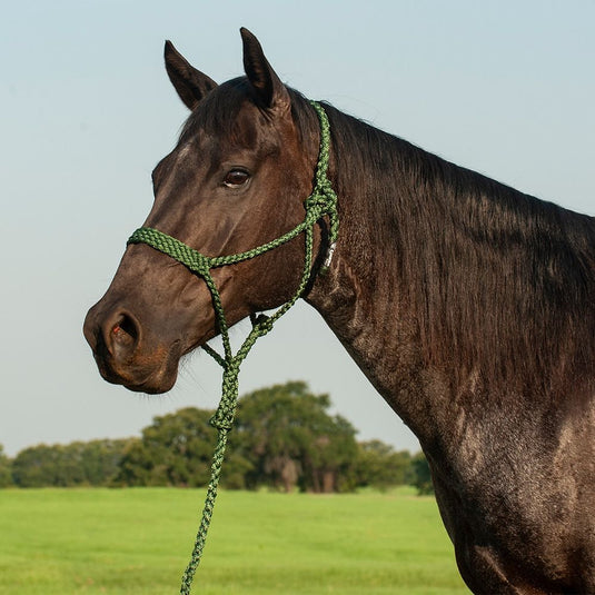 Cashel Flat Braid Halter with Lead