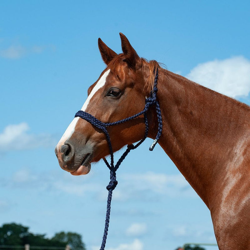 Load image into Gallery viewer, Cashel Flat Braid Halter with Lead
