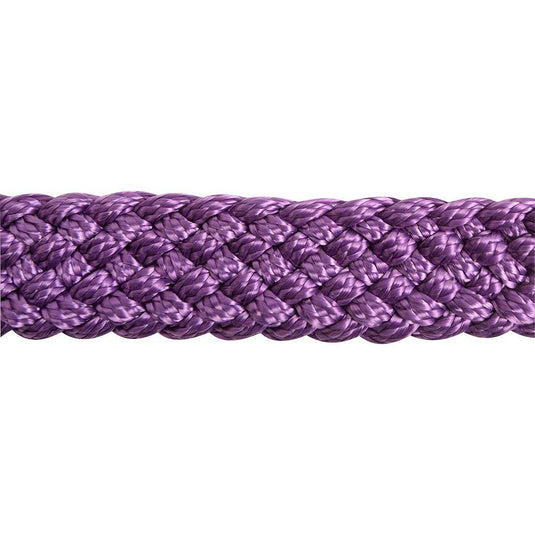 Cashel Flat Braid Halter with Lead