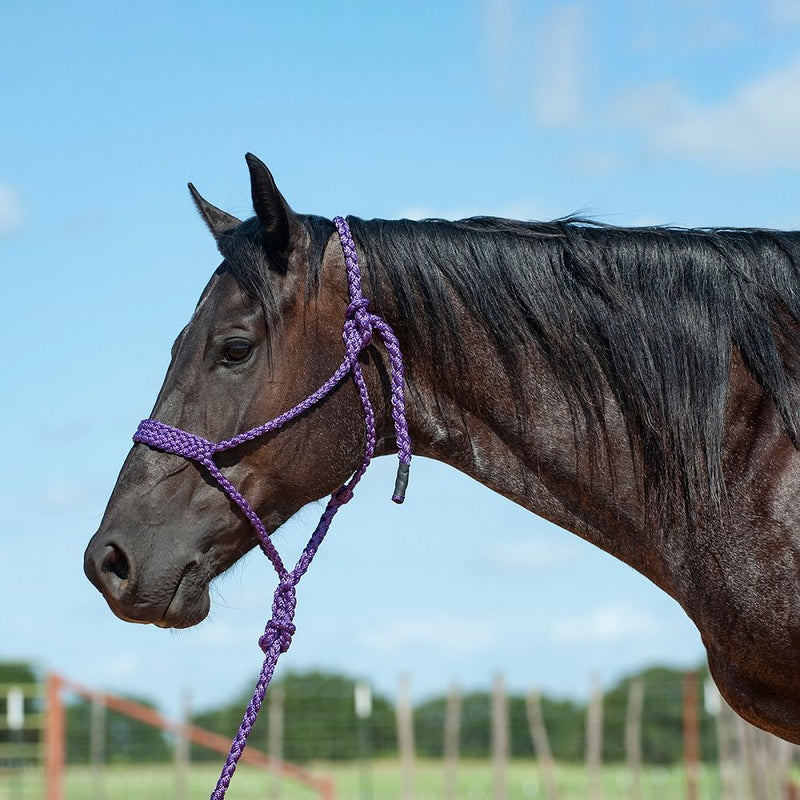 Load image into Gallery viewer, Cashel Flat Braid Halter with Lead
