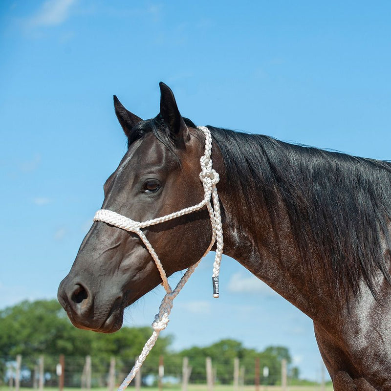 Load image into Gallery viewer, Cashel Flat Braid Halter with Lead
