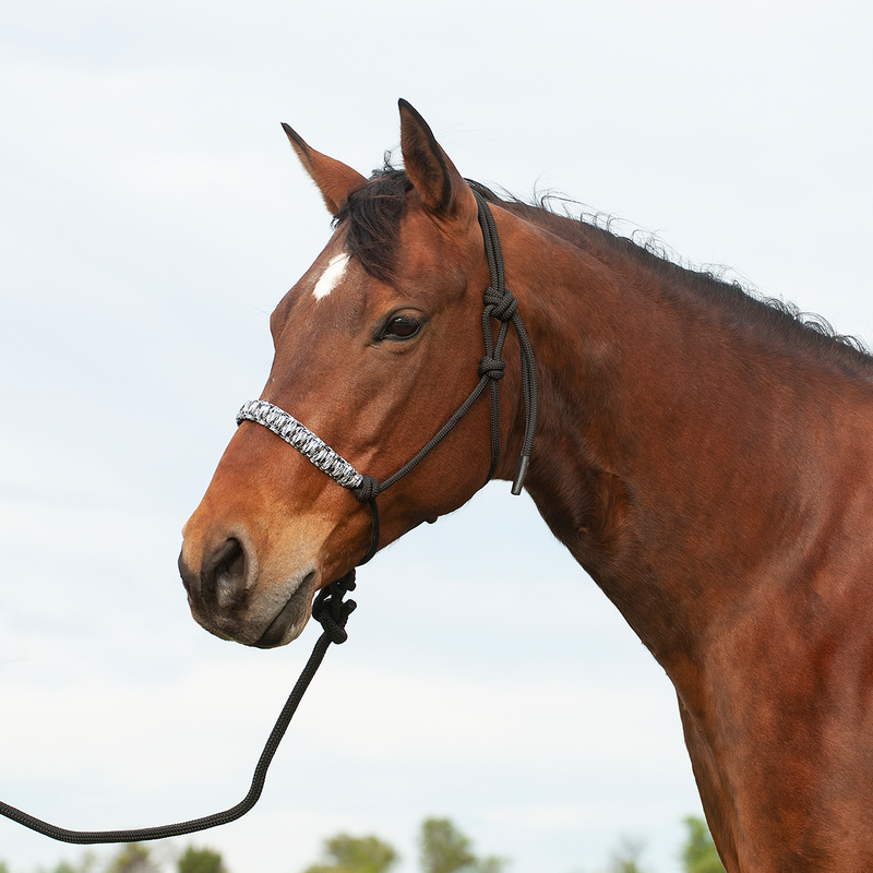 Load image into Gallery viewer, Cashel Braided Rope Nose Halter with Lead
