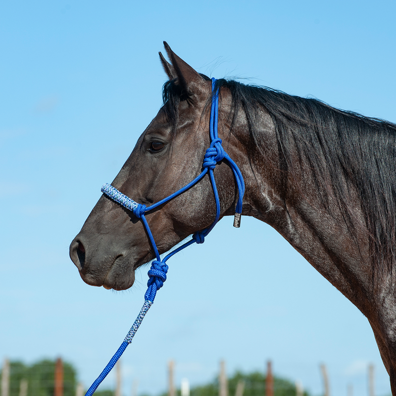 Load image into Gallery viewer, Cashel Braided Rope Nose Halter with Lead
