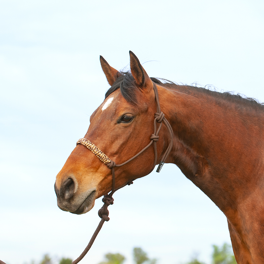 Cashel Braided Rope Nose Halter with Lead