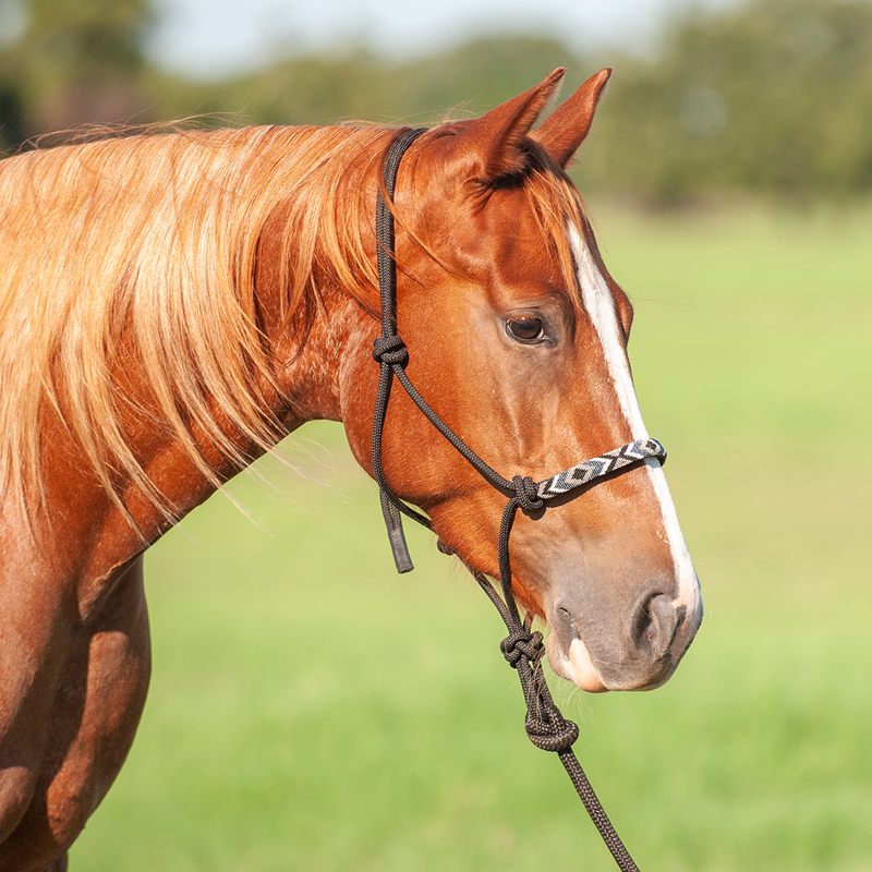 Load image into Gallery viewer, Cashel Beaded Rope Halter with 9' Lead
