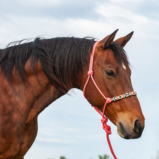 Cashel Beaded Rope Halter with 9' Lead