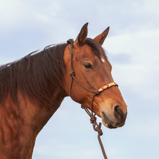 Cashel Beaded Rope Halter with 9' Lead