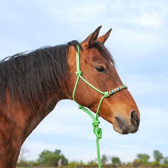 Cashel Beaded Rope Halter with 9' Lead