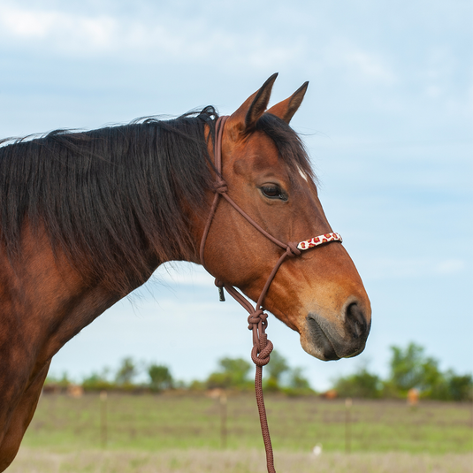 Cashel Beaded Rope Halter with 9' Lead
