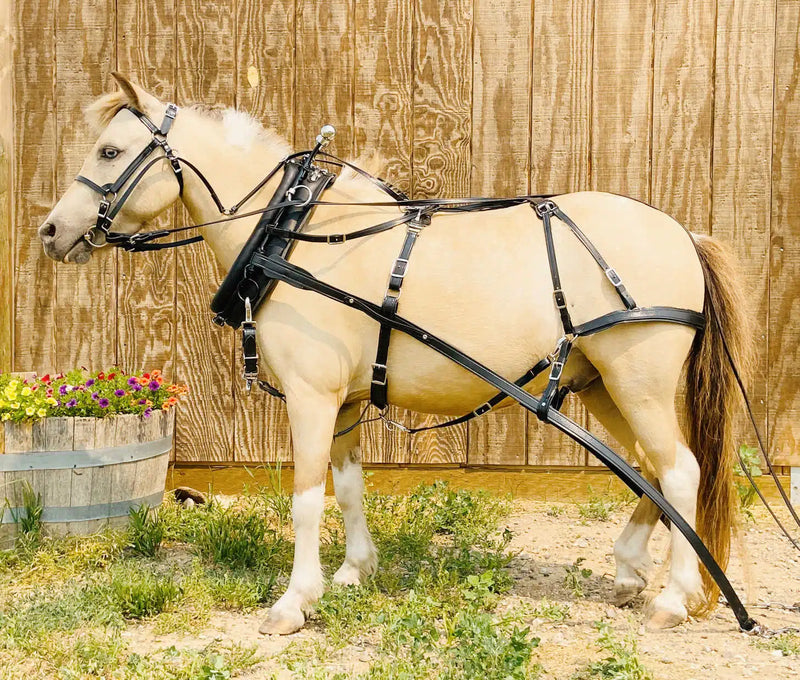 Load image into Gallery viewer, Used (NEW) Single Pony Harness - Black/White
