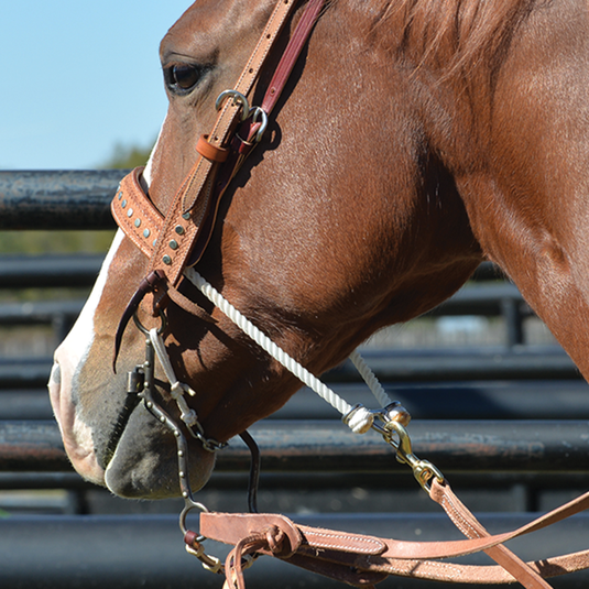 Classic Equine Joe Beaver High Port Bit
