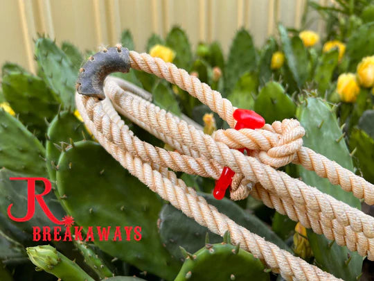 Load image into Gallery viewer, JR Breakaways
