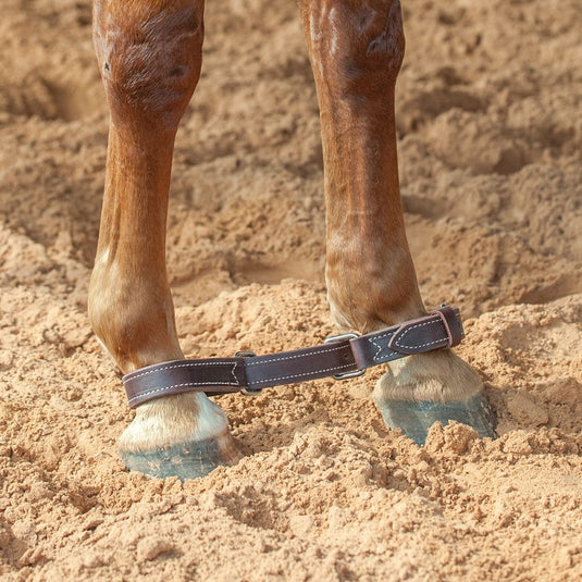 Martin Latigo Leather Hobbles