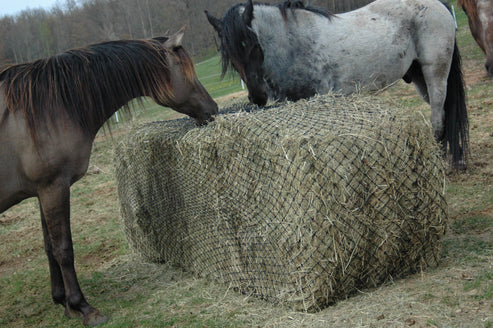 Load image into Gallery viewer, Hay Chix Original Large Bale Hay Net - 6x6 - 1-3/4"
