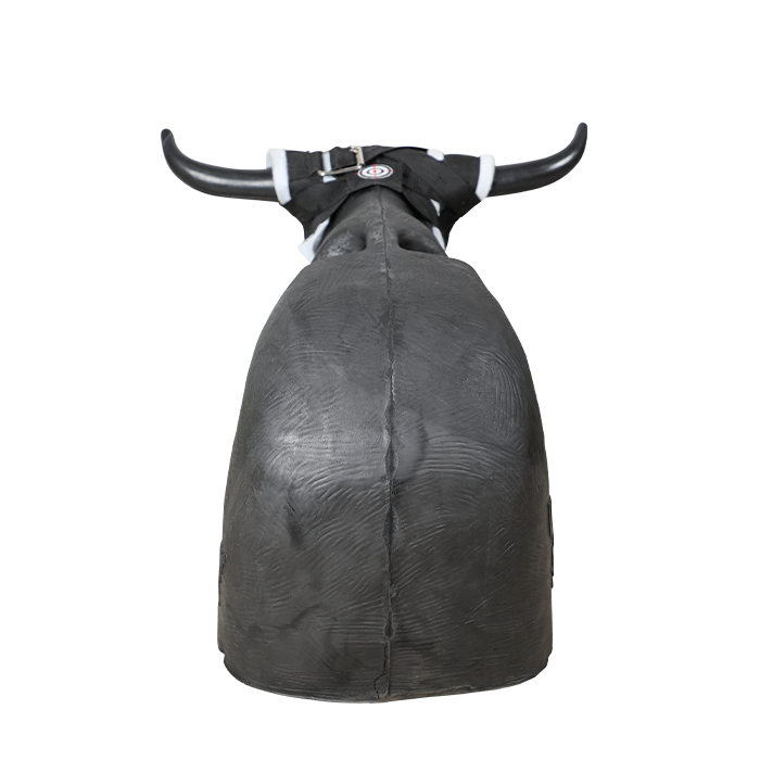 Load image into Gallery viewer, Smarty Rodeo | Leapsteer
