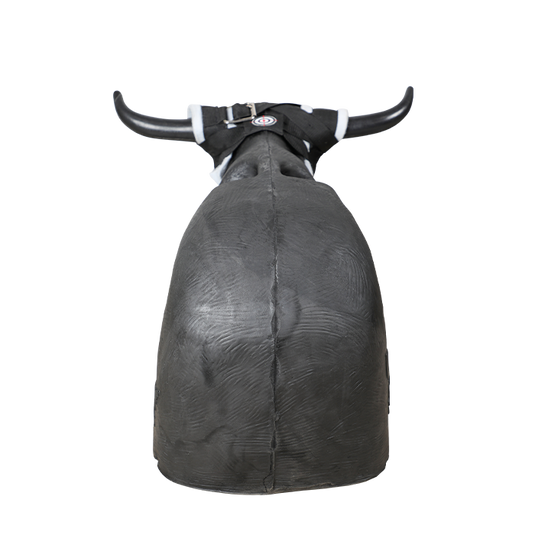 Smarty Rodeo | Leapsteer