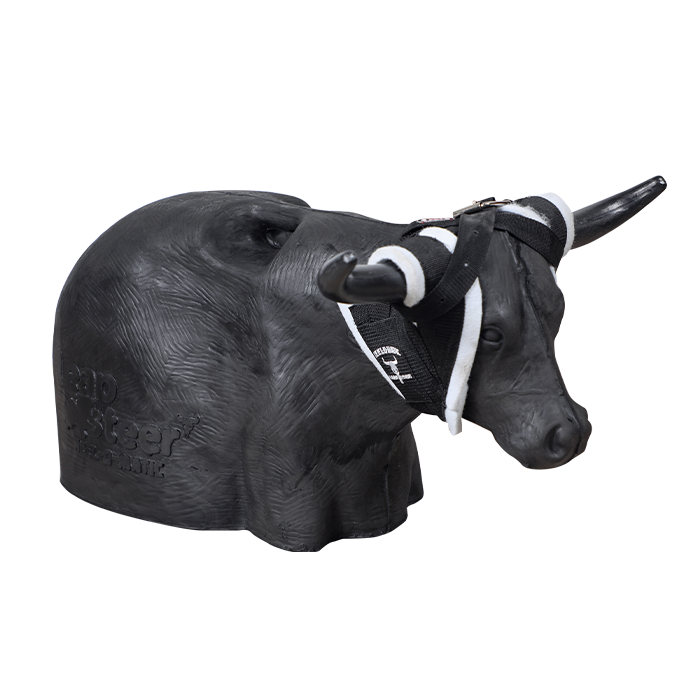 Load image into Gallery viewer, Smarty Rodeo | Leapsteer
