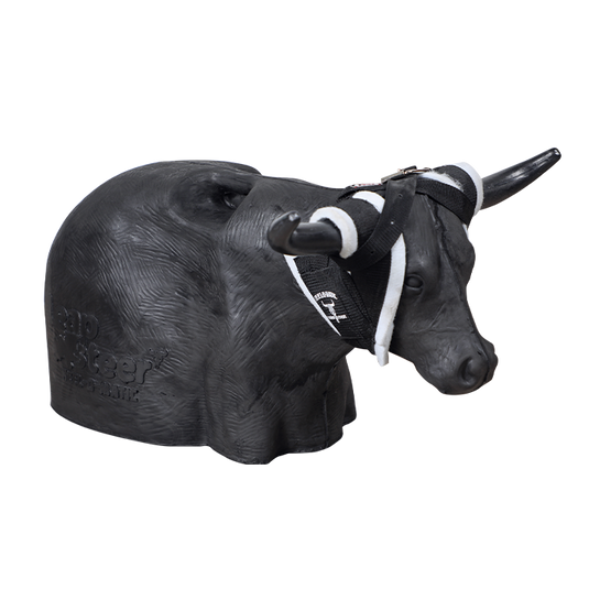 Smarty Rodeo | Leapsteer