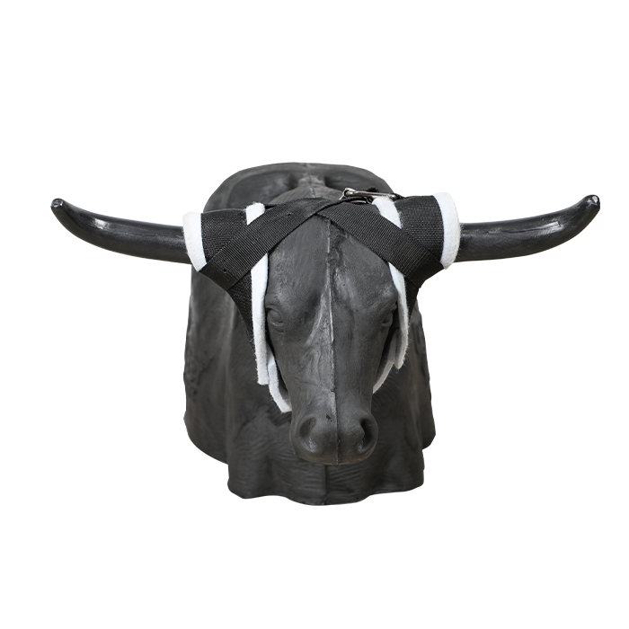 Load image into Gallery viewer, Smarty Rodeo | Leapsteer
