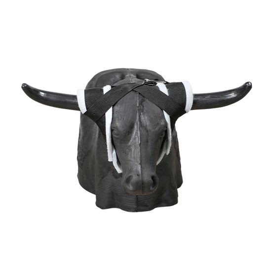 Smarty Rodeo | Leapsteer