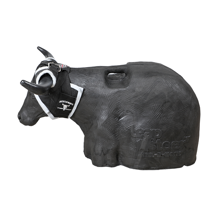 Load image into Gallery viewer, Smarty Rodeo | Leapsteer
