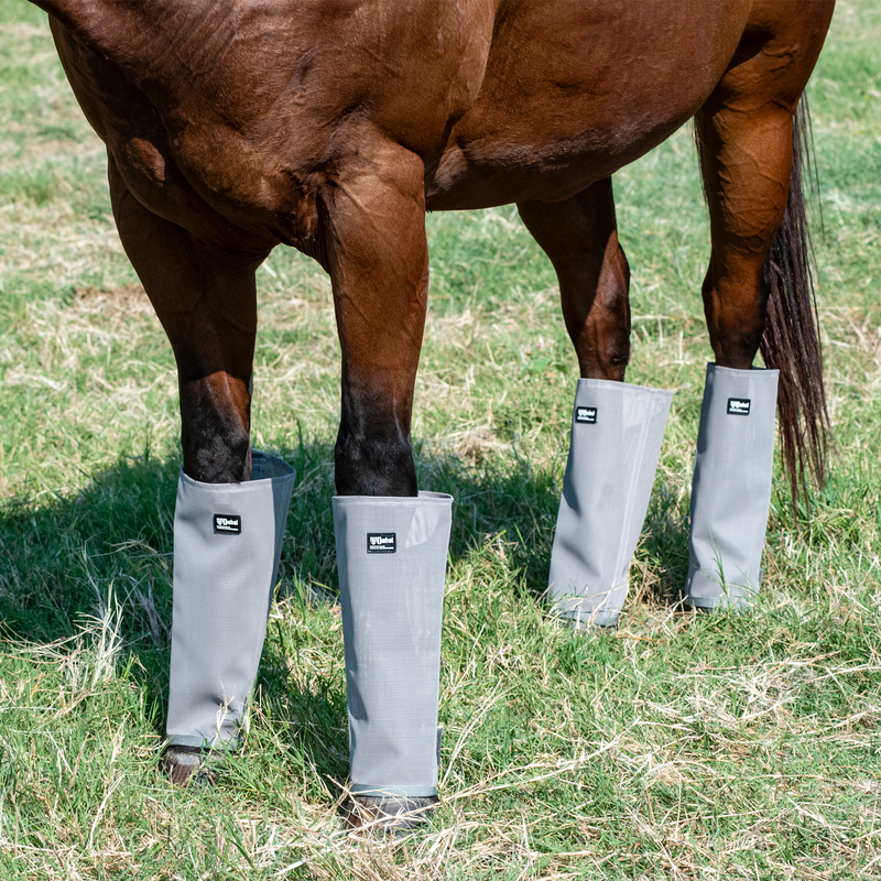 Load image into Gallery viewer, Cashel LG4 Crusader Leg Guards
