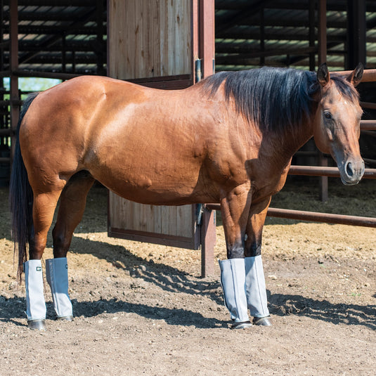 Cashel LG4 Crusader Leg Guards