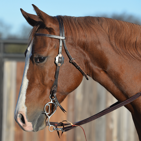 Classic Equine Les Vogt Turbo Collection Shank Snaffle Bit
