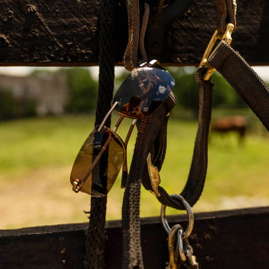 Bex Sunglasses Legolas OTG