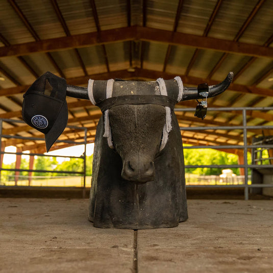 Bex Sunglasses Legolas OTG