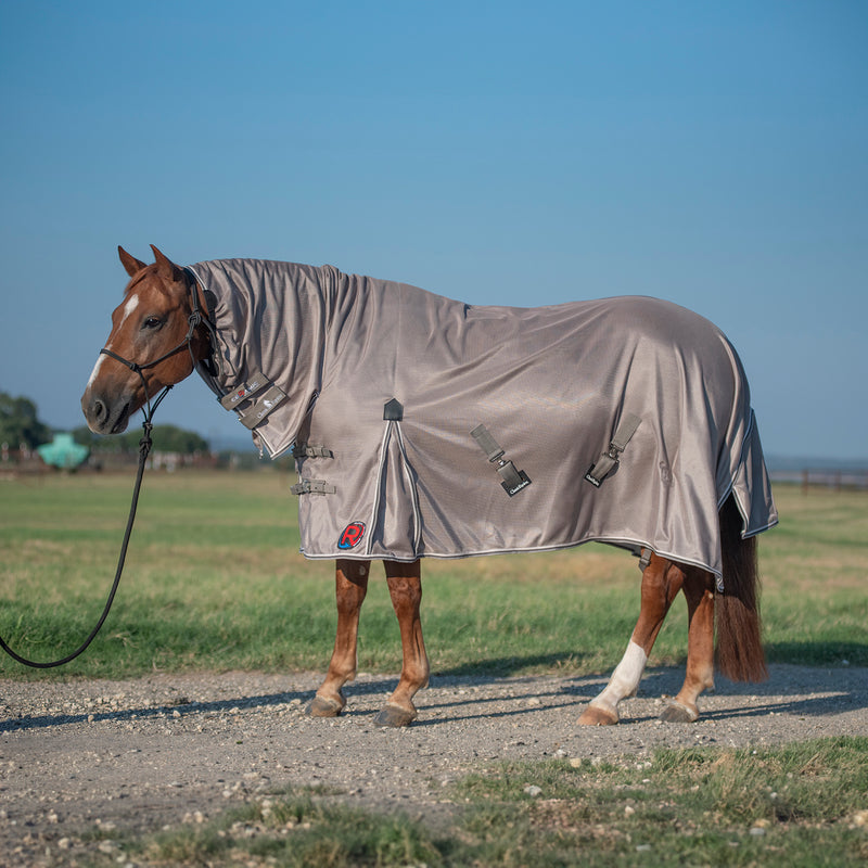 Load image into Gallery viewer, Classic Equine Hooded Mesh Ceramic Sheet

