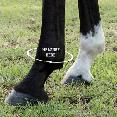 Iconoclast Orthopedic Sport Boot