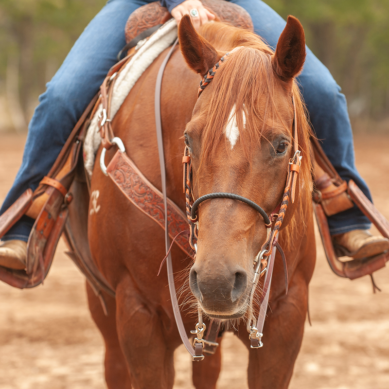 Load image into Gallery viewer, Martin Shrink Wrap Covered Single Rope Noseband
