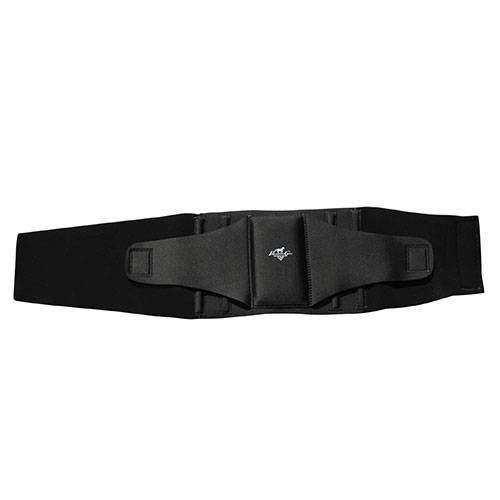 Load image into Gallery viewer, Professional's Choice Comfort-Fit Low Back Support Back Brace
