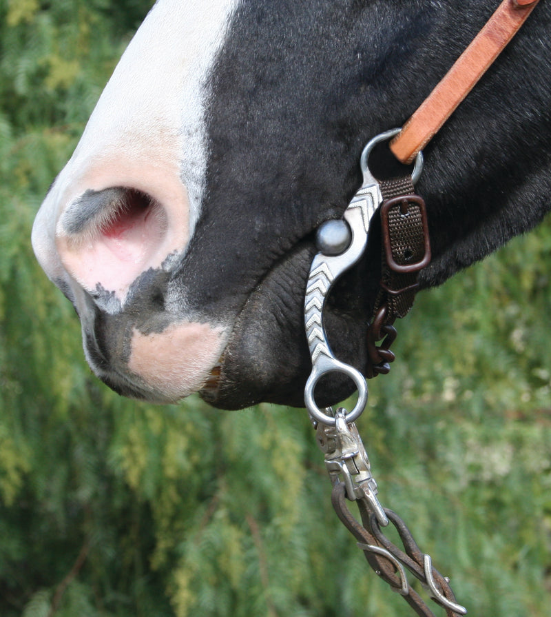 Load image into Gallery viewer, Professional's Choice Stockman Copper Shank Snaffle Bit

