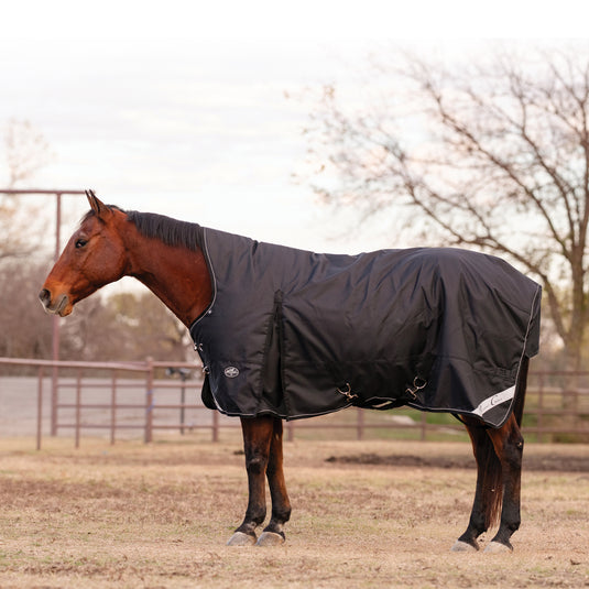 Professional's Choice High Neck Heavy Weight Turnout Blanket