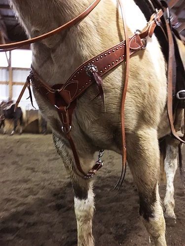 Load image into Gallery viewer, Performance Pony Dot &amp; Tassel Breast Collar
