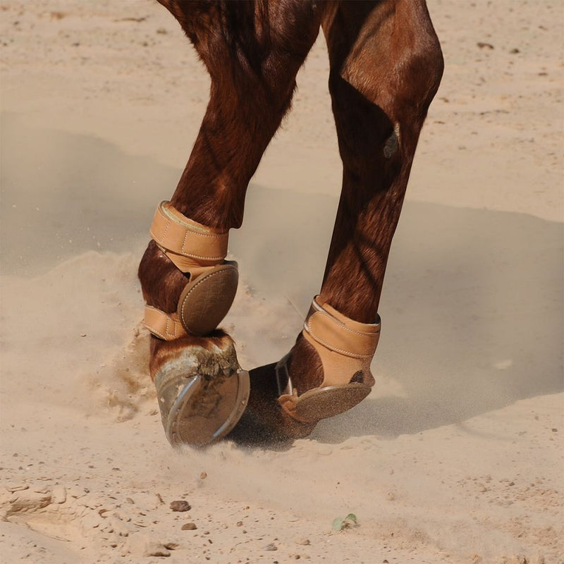 Load image into Gallery viewer, Classic Equine Pro Reiner Hook &amp; Loop Skid Boots - Chocolate
