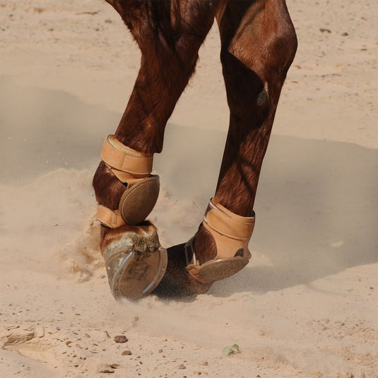 Classic Equine Pro Reiner Hook & Loop Skid Boots - Chocolate