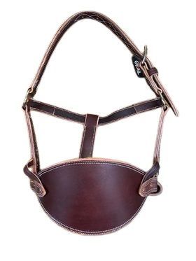 Wyoming Leather Latigo Bronc Halter