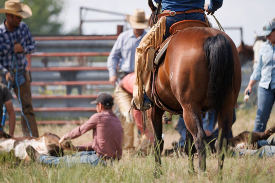 Borderline Versatility Chaps
