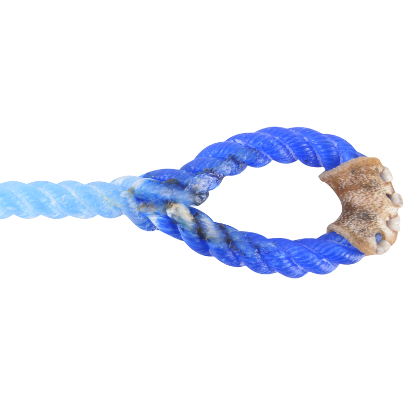 Load image into Gallery viewer, Rattler Blue Racer Blue Eye Piggin String
