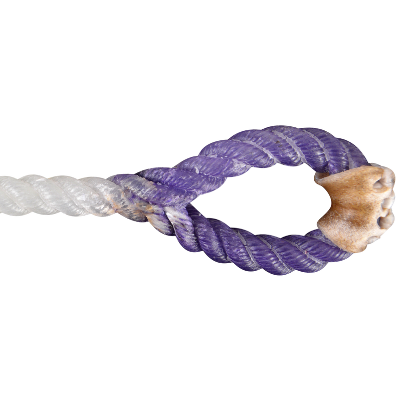 Load image into Gallery viewer, Rattler White Racer Purple Eye Piggin String
