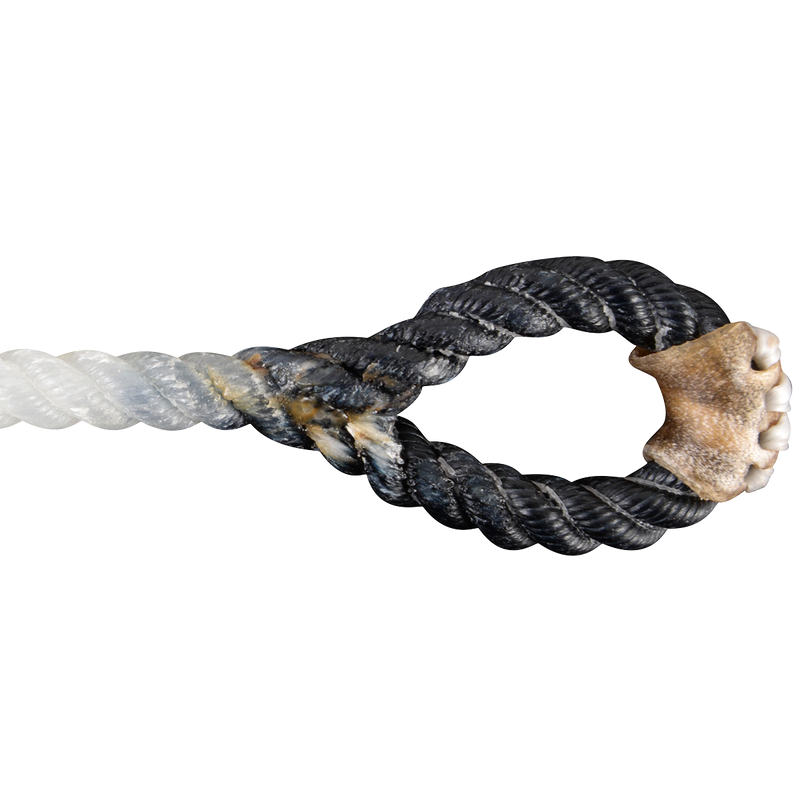 Load image into Gallery viewer, Rattler White Racer Black Eye Piggin String
