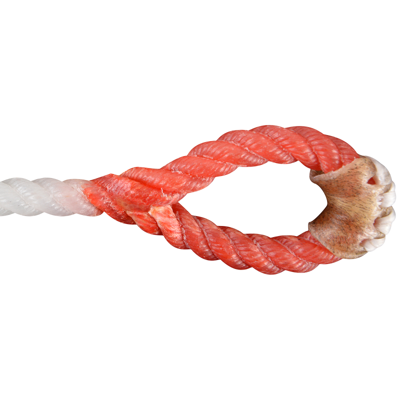 Load image into Gallery viewer, Rattler White Racer Red Eye Piggin String
