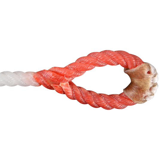 Rattler White Racer Red Eye Piggin String