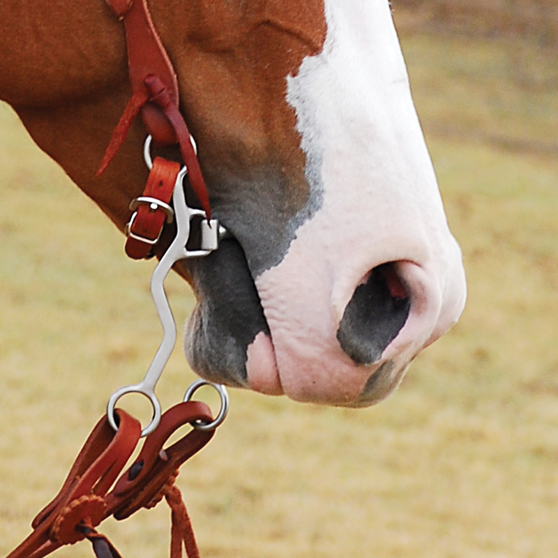Load image into Gallery viewer, Classic Equine Rickey Green Chain Bit

