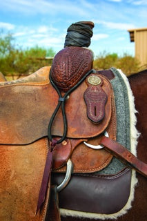 Professional's Choice Bungee Rope Holder