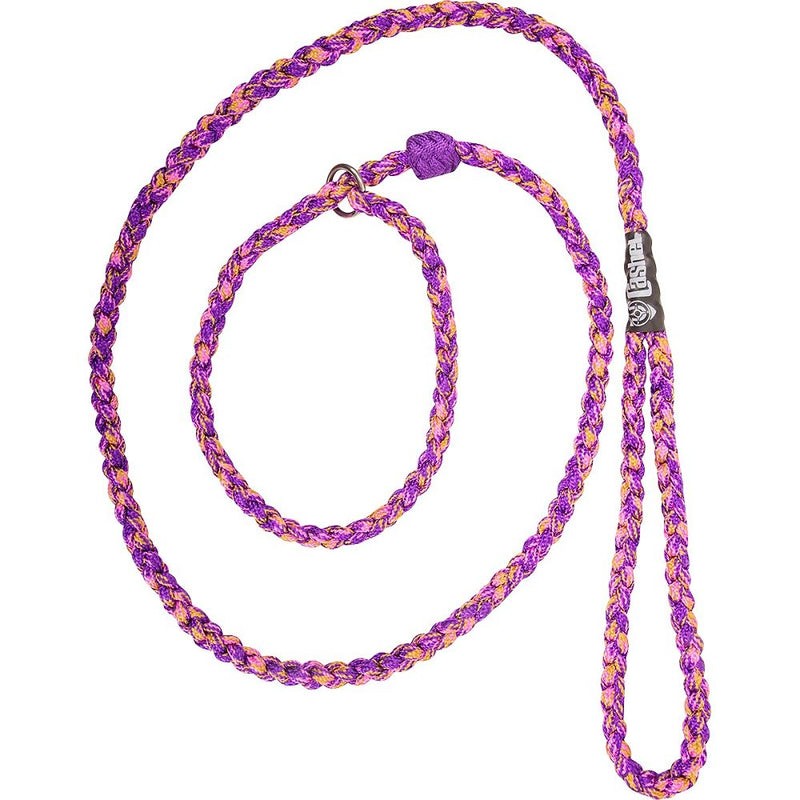 Load image into Gallery viewer, Cashel Braided Dog Leash
